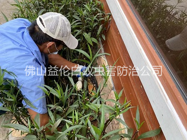 佛山园林绿化灭治白蚁工程