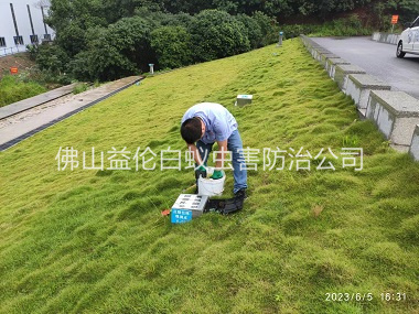 张槎水利堤坝鼠害防控工程