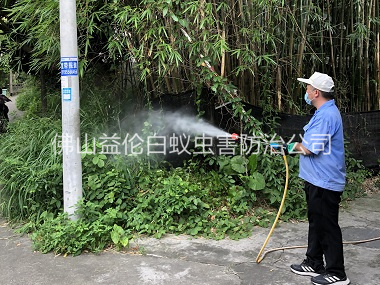张槎有害生物消杀工程