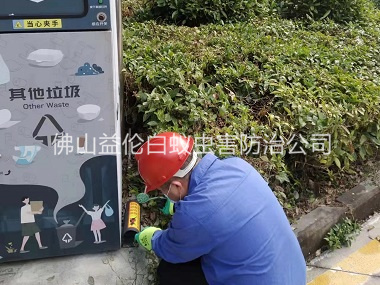 祖庙街道施药灭鼠工程