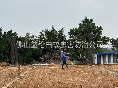 南庄新建地基预防白蚁工程