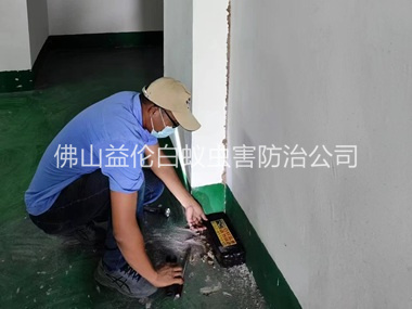 吉利电房灭杀白蚁工程