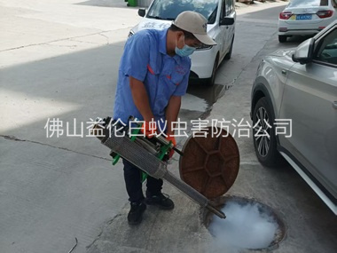 石湾下水道热烟雾灭杀蚊虫、蟑螂工程