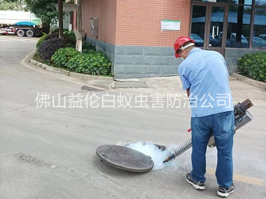 南庄杀灭蟑螂蚊蝇工程