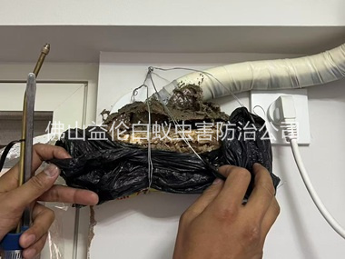 石湾房屋白蚁诱杀工程