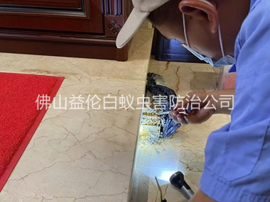 张槎装置诱杀箱监测白蚁工程